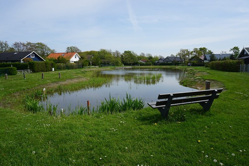 Teich im Ferienpark
