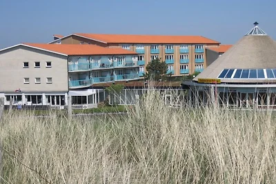 Strandslag Juliana 231