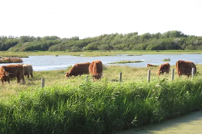 Strandslag Juliana 181