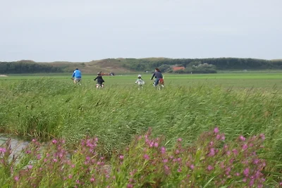 Vakantieappartement Gezinsvakantie Julianadorp aan Zee