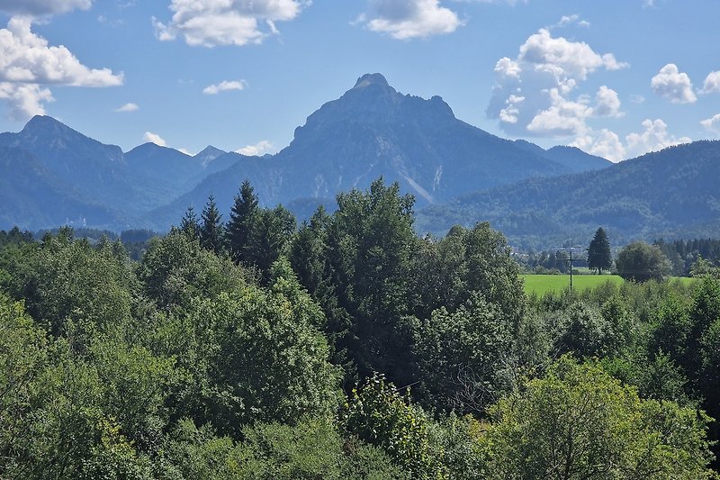 herrlicher Blick auf die Tiroler Alpen