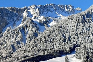 il piccolo impianto di risalita molto vicino - l'appartamento bello - e pulito