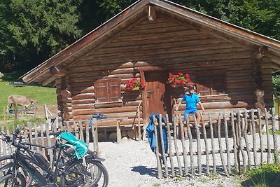 FEWO  TIROL,Bergblick, ruhig,Balkon