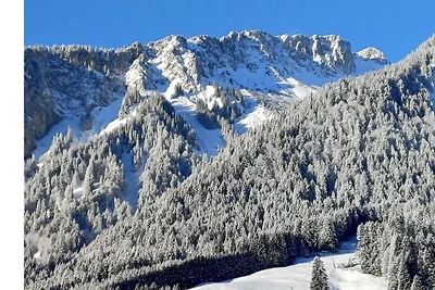 neue FEWO "HAUS BERTA" TIROL