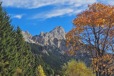 neue FEWO "HAUS BERTA" TIROL