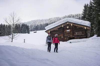 BERGBLICK,Wohnzimmer,ruhig,NEU