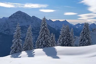 BERGBLICK, Wohnzimmer,Komfort, 1-2P