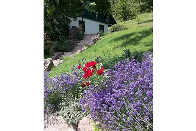 Casa vacanze sul versante soleggiato