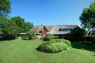Schwalbennest