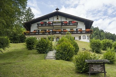 Vakantieappartement Gezinsvakantie Oberaudorf