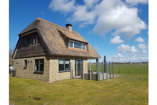 Ferienhäuser & Ferienwohnungen mit Hund in Ameland - Urlaub mit Hund Ameland