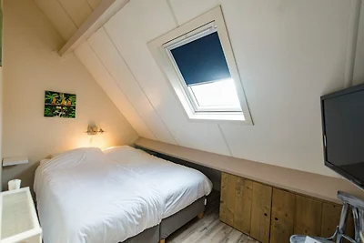 Friese Antillen 1 (4p)