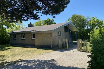Zeekraal (5p)