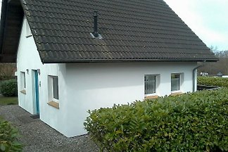 Seemöwe. Strandnah mit Kamin