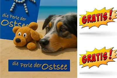 Sweet Home Ferienvermietung ⛱️☀️ 02