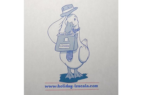 H. Gänser H. Gänser