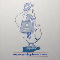 Herr H. Gänser Herr H. Gänser