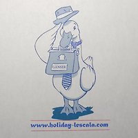 H. Gänser H. Gänser