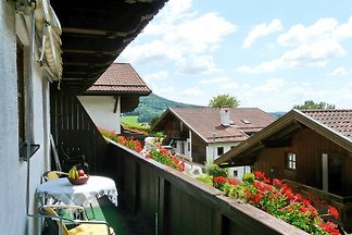 Hauzenberg App. 303