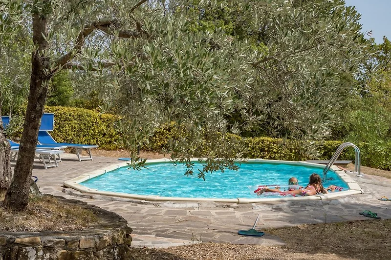 der große Gemeinschaftspool