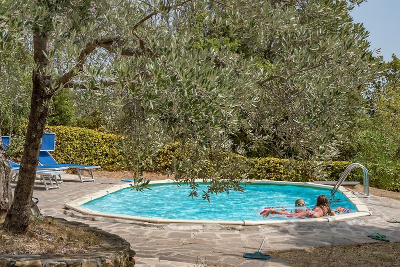 Schwimmbad umgeben von Pflanzen und azurblauem Wasser.