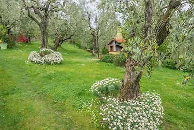 Oliveta