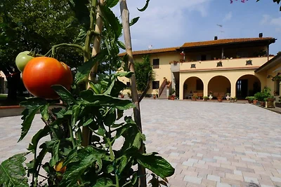 Il Cedro
