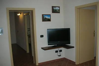 Il Cedro