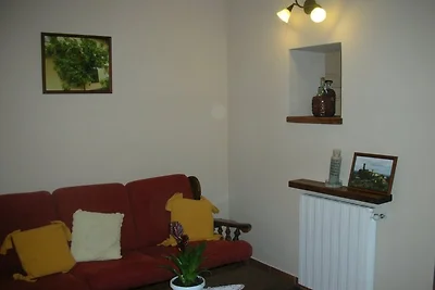 Il Cedro