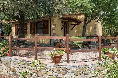 Mandorlo 1