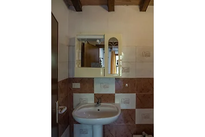 Mandorlo 3