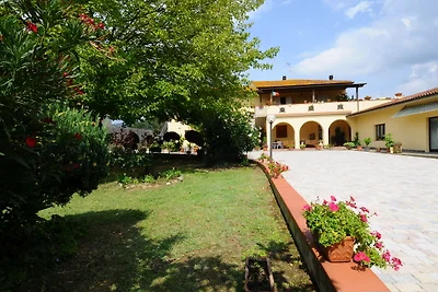 Il Cedro Sopra