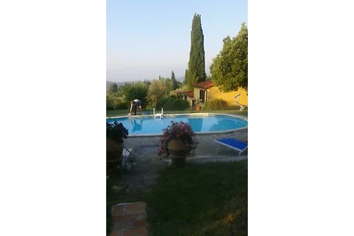 Mandorlo 2