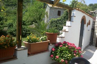 Apartament Apartment in House NEGRA