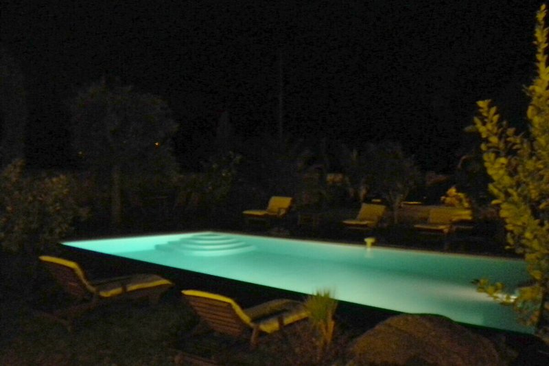 Schwimmbad, Naturlandschaft, Tisch, Holz, Landschaftsbeleuchtung, Pflanzen - perfekt für Entspannung am Abend!