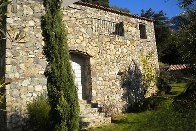 TERRA ROSSU