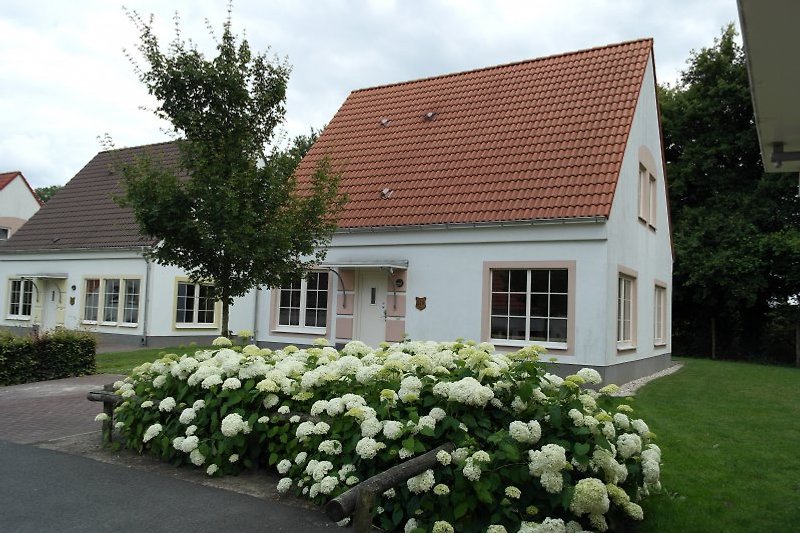 Villa Kunterbunt (Privat Sauna) Ferienhaus in Bad