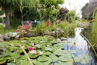 FH Gartenparadies mit Sauna/Kajaks
