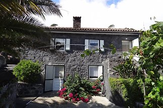 Vakantiehuis Ontspannende vakantie Pico