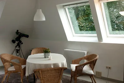 Gästewohnung Düsternbrook