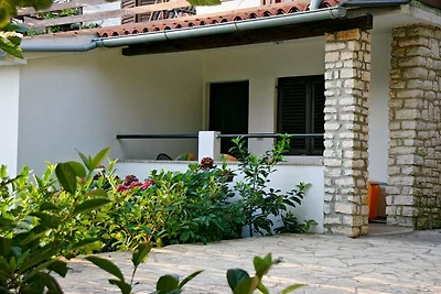 Apartments Silvestra - Feige