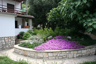 Apartments Silvestra - Feige