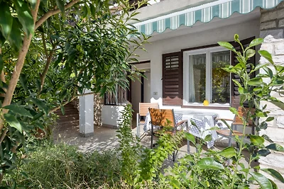 Apartments Silvestra - FeWo Palme