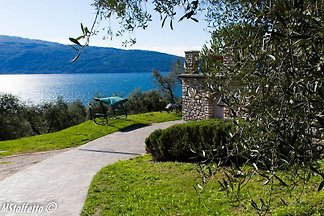 Agriturismo l'Uliveto