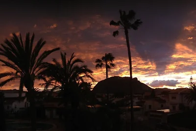Tres Palmeras Denia Els Poblets
