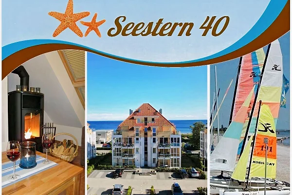Estrella de mar 40