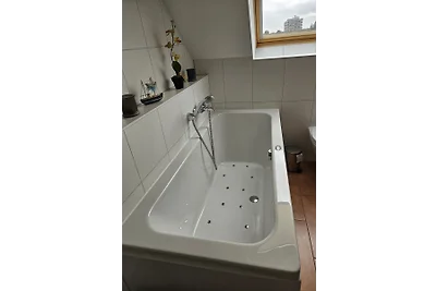 Seestern 40