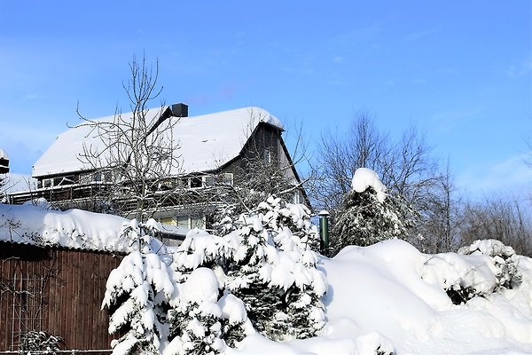 Ferienwohnung Braunlage