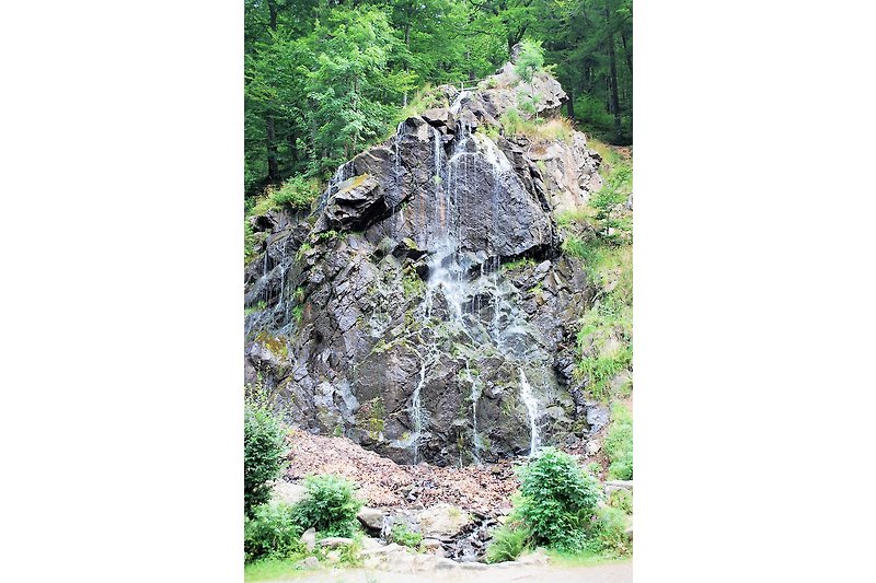 Radau Wasserfall/Bad Harzburg