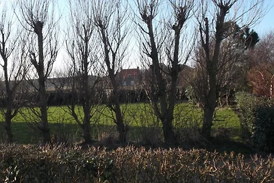 Stranddroomtje